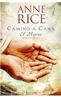 Camino A Cana