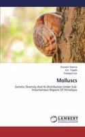 Dictionary Of Trade And Industries