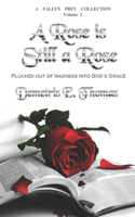 A Rose Is Still A Rose: Plucked out of madness into God's Grace