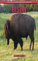 Bison: Fun Facts and Amazing Photos