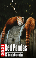 Calendrier 2021 Red Pandas