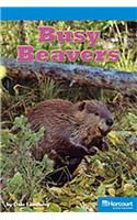 Storytown: On Level Reader Teacher's Guide Grade 3 Busy Beaver