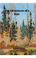 The Adventures of a Bear