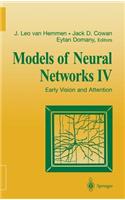 Models of Neural Networks IV: Early Vision and Attention