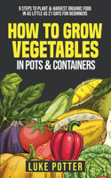 How To Grow Vegetables In Pots and Containers