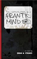 contemplations of a frantic mind