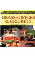 Grasshoppers & Crickets: (Dominie World of Invertebrates)