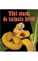 What Senses Do Animals Have