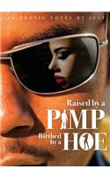 Raised by a Pimp, Birthed by a Hoe