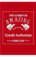 This is What an Amazing Credit Authorizer Look Like