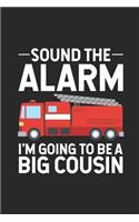Sound The Alarm I'm Going To Be A Big Cousin