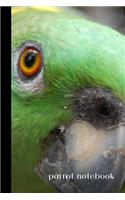 parrot notebook