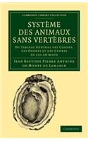 Système Des Animaux Sans Vertèbres