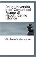 Delle Universita E de' Comuni del Reame Di Napoli: Cenno Istorico(English)