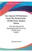 New Species Of Polychaeta From The North Pacific, Chiefly From Alaskan Waters