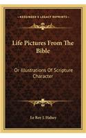 Life Pictures from the Bible