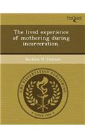 The Lived Experience of Mothering During Incarceration