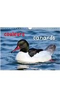 Couleurs Canards 2017