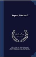 Report; Volume 3