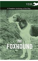 The Foxhound - A Complete Anthology of the Dog