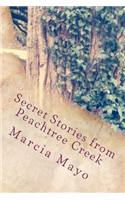 Secret Stories from Peachtree Creek: Georgia History (with a mysterious twist!)(English)