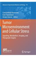 Tumor Microenvironment and Cellular Stress