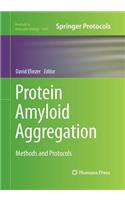 Protein Amyloid Aggregation