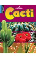 Cacti