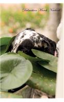 Dalmatian March Notebook Dalmatian Record, Log, Diary, Special Memories, to Do List, Academic Notepad, Scrapbook & More