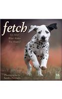 Fetch: Photographs by Sarah Helsocht