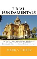 Trial Fundamentals: A Concise Handbook on the Basics of Courtroom Evidence, Procedure & Tactics