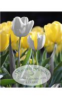 Beautiful Flowers