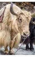 A Yak in the Himalayas Journal: 150 Page Lined Notebook/Diary