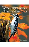 Woodpeckers of North America