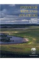 Statewide Wetlands Strategies