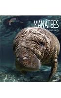 Manatees