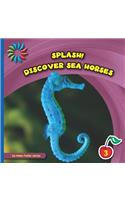 Discover Sea Horses