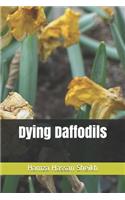 Dying Daffodils