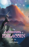 Adventures of Pinkacorn