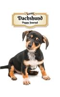 2020 Dachshund Puppy Journal: Weekly Planner - 12 Months - 107 pages 8.5 x 11 in. - Calendar - Diary - Organizer - Vaccinations - Vet Appointments - Half Spread Blank Pages