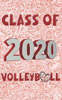 Class of 2020 Volleyball