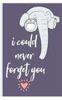 I Could Never Forget You