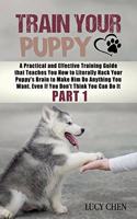 Train your Puppy