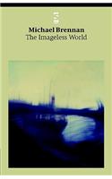 The Imageless World