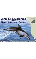 Whales and Dolphins of the North American Pacifi - Including Seals and Other Marine Mammals