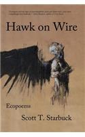 Hawk on Wire