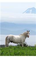 White Horse in a Green Field Equine Journal: 150 Page Lined Notebook/Diary