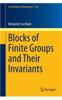 Blocks of Finite Groups and Their Invariants