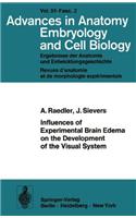 Influences of Experimental Brain Edema on the Development of the Visual System