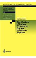 Classification of Nuclear C*-Algebras. Entropy in Operator Algebras: Entropy in Operator Algebra(126 Encyclopaedia of Mathematical Sciences)